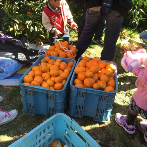 12313524_719653841505207_6191407652533210898_n