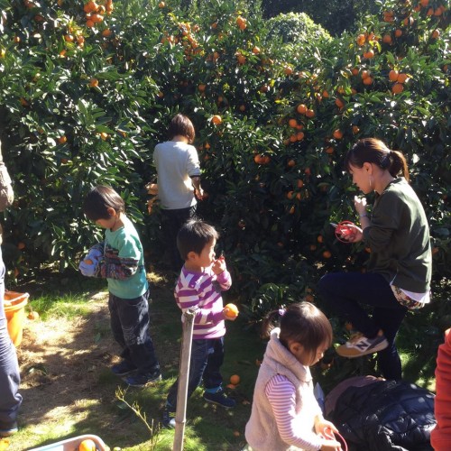 12348052_719653728171885_2641921191415750323_n