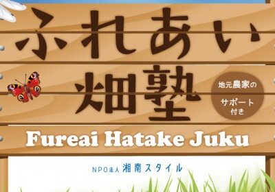 デザイン